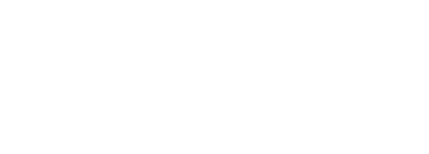 Logo Emotion Evolve, Game Studio Services