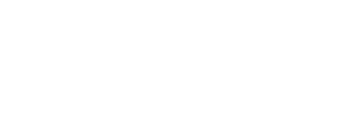 Logo Emotion Evolve, Game Studio Services